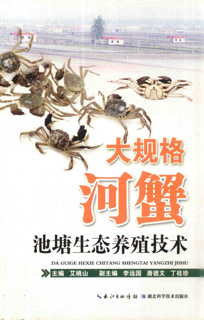 大规格河蟹池塘生态养殖技术 封面