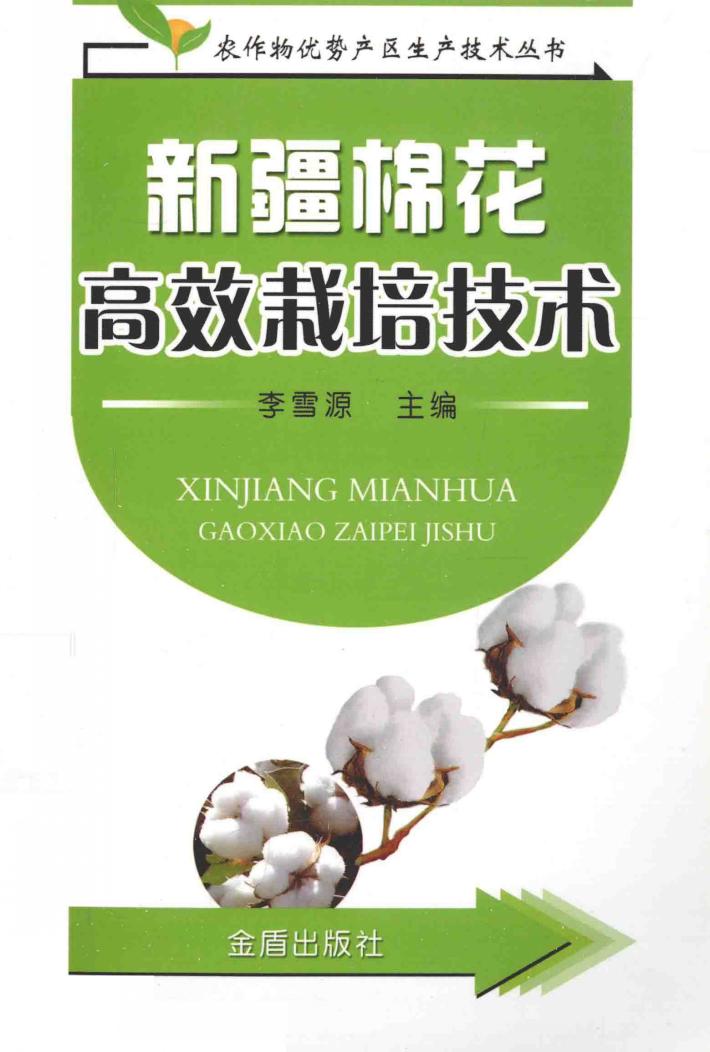 新疆棉花高效栽培技术 封面