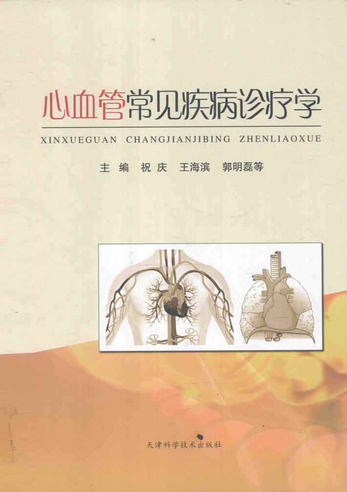 心血管常见疾病诊疗学 封面
