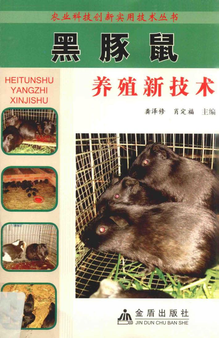黑豚鼠养殖新技术 封面