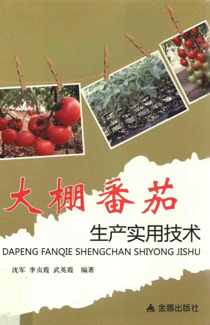 大棚番茄生产实用技术 封面