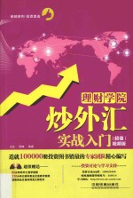 炒外汇实战入门  超值视频版 封面