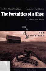 一只鞋的偶然  诗歌集 封面