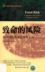 致命的风险  美国国际集团自毁警示录 封面