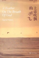 上帝吹飘的羽毛 封面