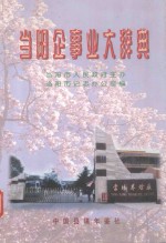 当阳企事业大辞典 封面