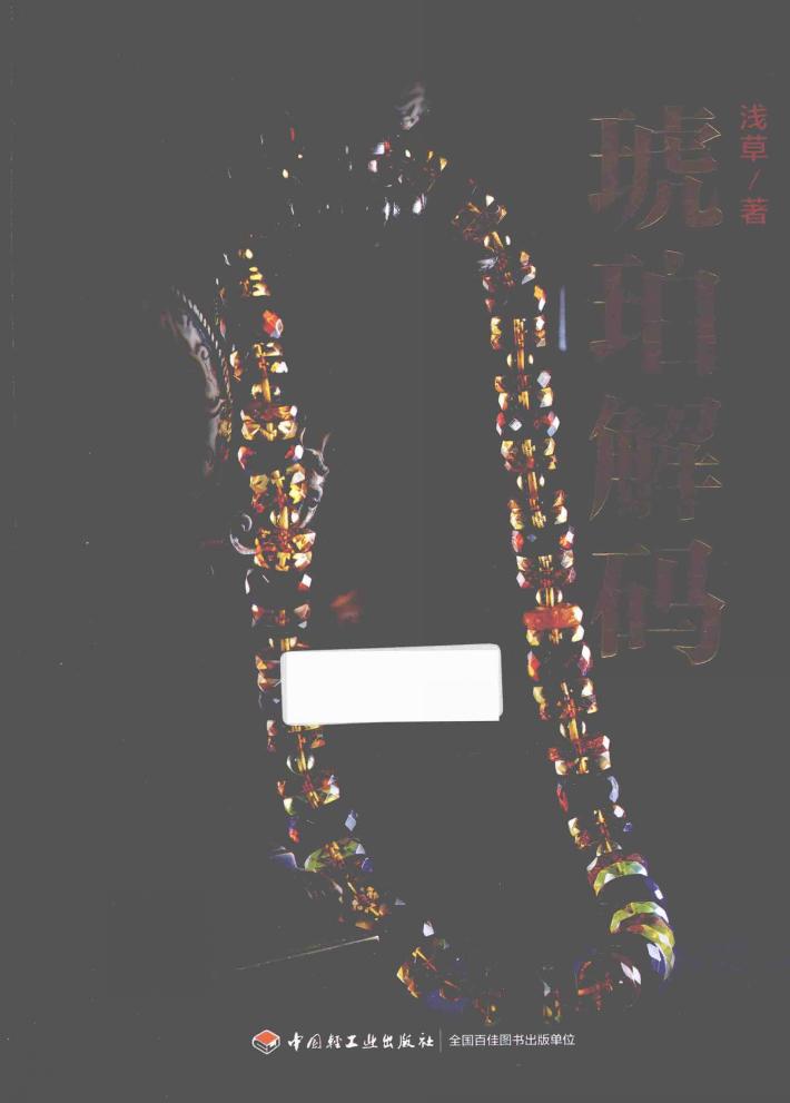 琥珀解码 封面
