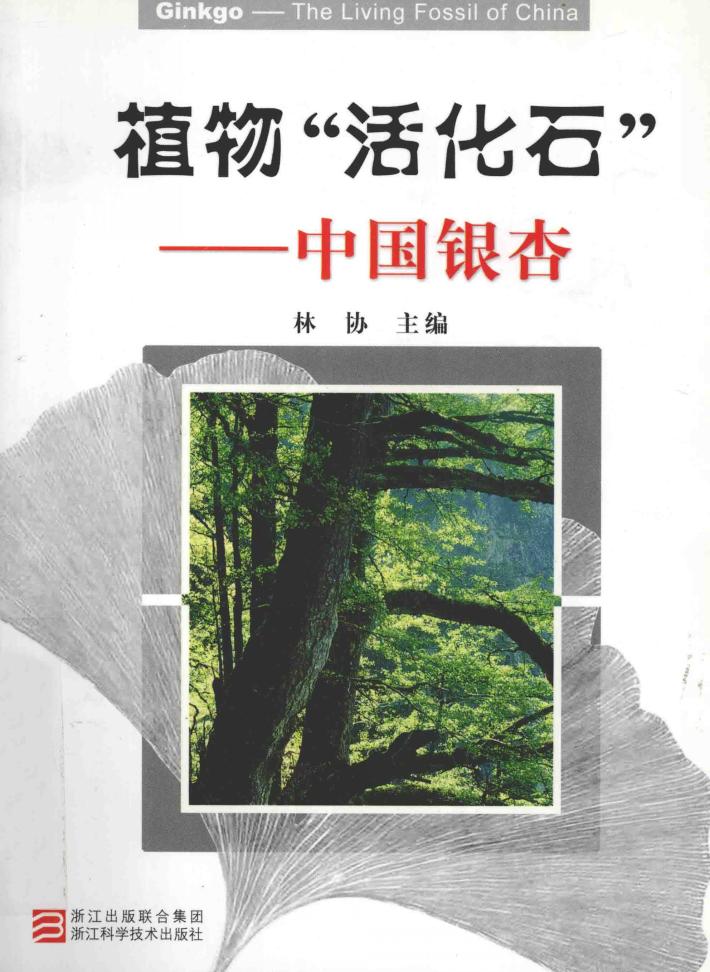 植物活化石  中国银杏 封面