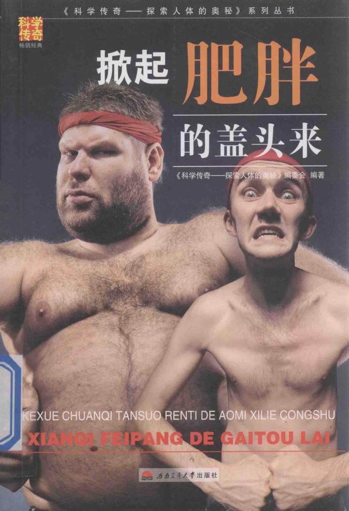 掀起肥胖的盖头来 封面