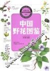 中国野花图鉴 电子书封面