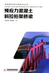 预应力混凝土斜拉桁架桥梁 封面