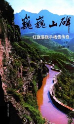 巍巍山碑  红旗渠旗手杨贵传奇  上 封面