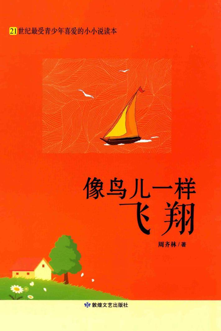 像鸟儿一样飞翔 封面