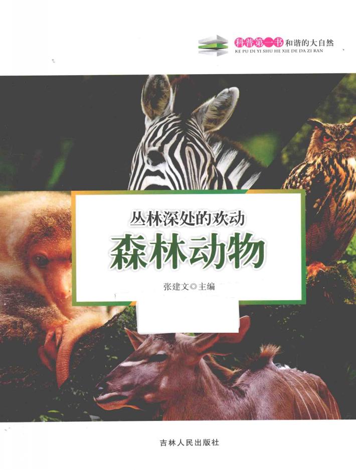 丛林深处的欢动-森林动物 封面