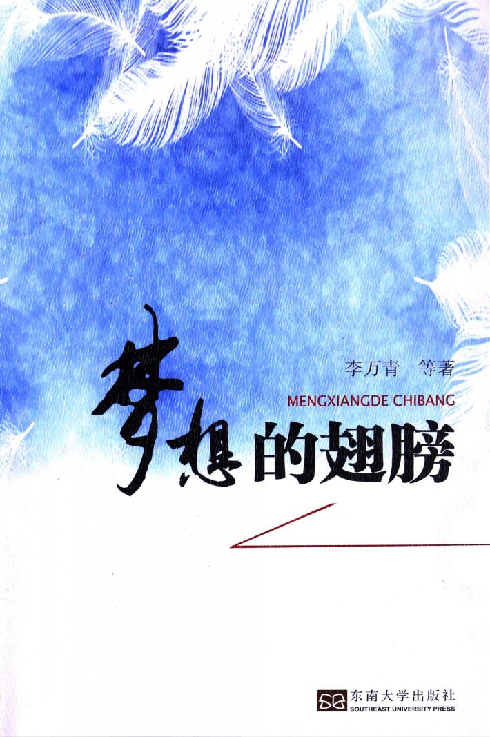 梦想的翅膀 封面