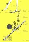 你是我必经的流浪 封面