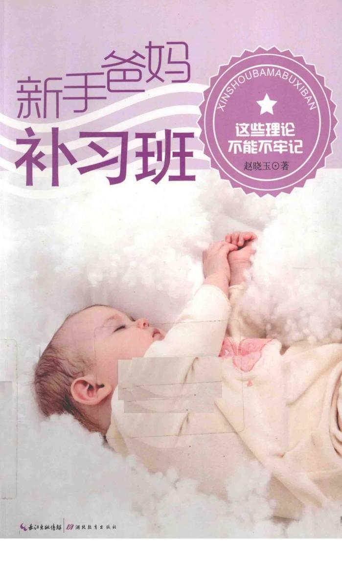 新手爸妈补习班  这些理论不能不牢记 封面