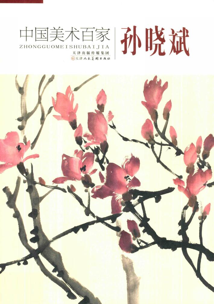 中国美术百家  孙晓斌 封面