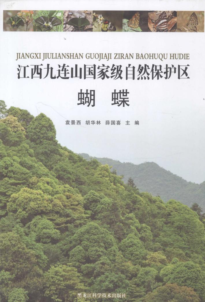 江西九连山国家级自然保护区  蝴蝶 封面