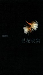 昙花现集 封面