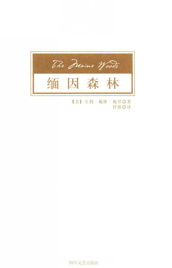 缅因森林 封面