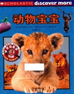 动物宝宝 封面