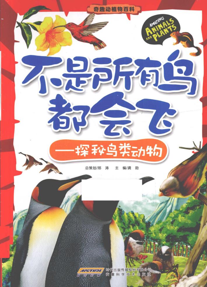 不是所有鸟都会飞  探秘鸟类动物 封面