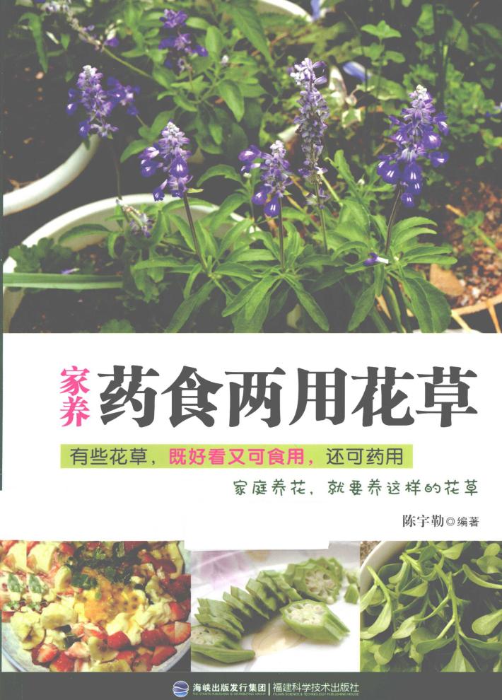 家养药食两用花草 封面