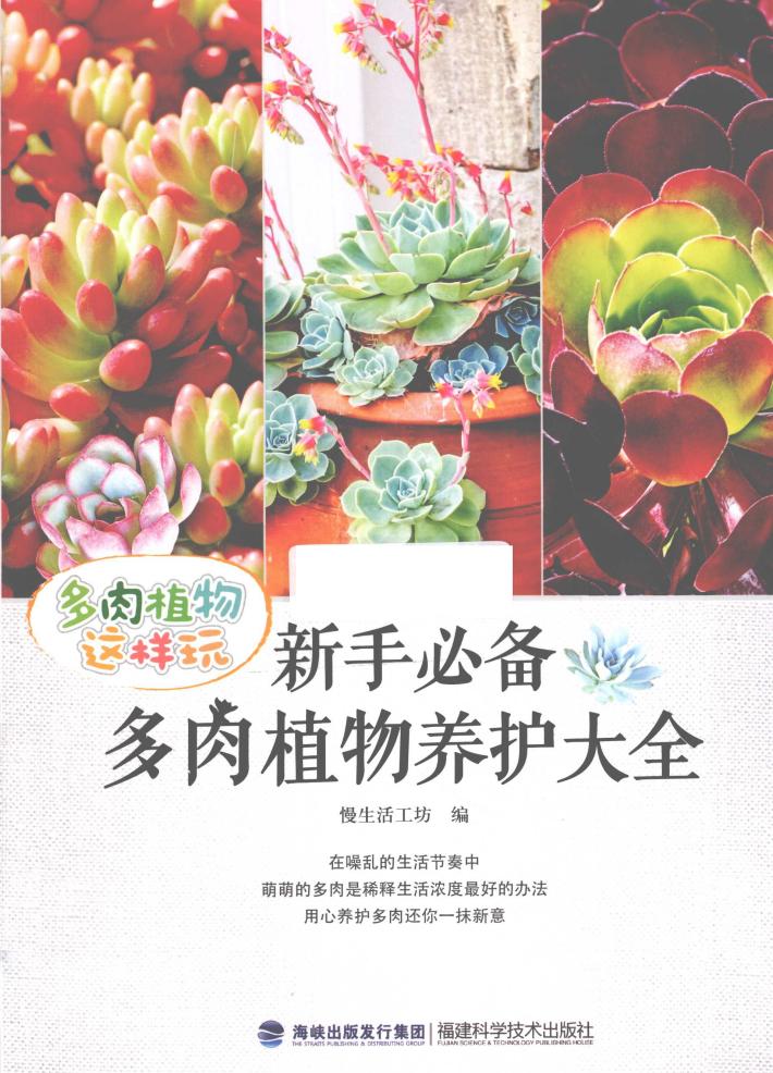 新手必备多肉植物养护大全 封面