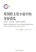 英国跨文化小说中的身份错乱 封面