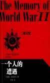 二战记忆  一个人的遭遇 封面