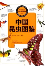 中国之美  中国昆虫图鉴 封面