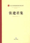 张建君集 封面