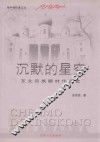 地平线作家文丛  沉默的星空  东北回族题材作品选 封面