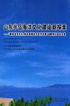 山东半岛海洋文化建设新探索  “建设蓝色文化，推进威海蓝色经济发展”战略研讨会论文集 封面