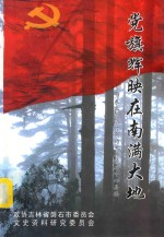 党旗辉映在南满大地-东北沦陷时期的中共磐石中心县委（磐石文史资料第13辑） 封面