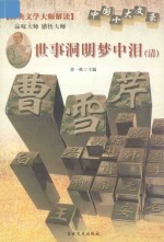 中国十大文豪  世界洞明梦中泪（清） 封面