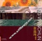 张温纯画集 封面