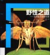 野性之道  自然生态摄影探索 封面