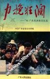 力挽狂澜  ’94广东抗洪救灾纪实 封面
