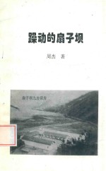 躁动的扇子坝 封面