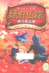 绿野仙踪系列  神奇魔法师 封面