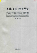 英律飞扬，粹美华光  英国谢菲尔德哈勒姆大学艺术学院沈阳师范大学美术与设计学院学生作品集 封面