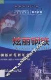 炫丽钢铁  钢铁的花样年华 电子书封面
