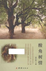 酸角树情 封面