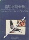 国际名鸽专集 封面