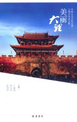 美丽大理  中国百名文化记者大理采风征文集 封面