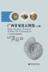 广西常见化石图鉴  上 封面