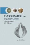 广西常见化石图鉴  下 封面