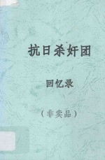 抗日杀奸团  回忆录 封面